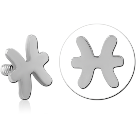 Nakrętka znak zodiaku 